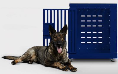 Best travel crates for German Shepherds