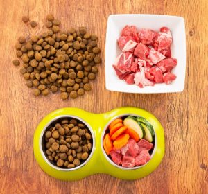 best organic food for dogs